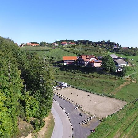 Guesthouse Kaučič Benedikt v Slovenskih Goricah Exteriér fotografie