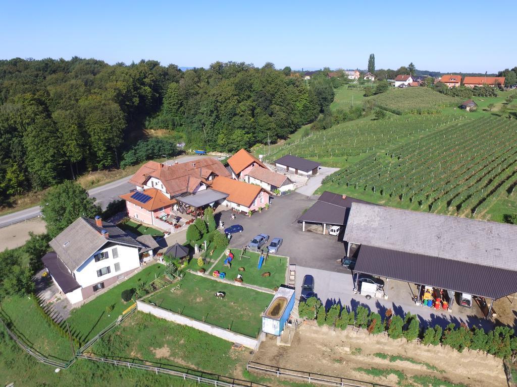 Guesthouse Kaučič Benedikt v Slovenskih Goricah Exteriér fotografie
